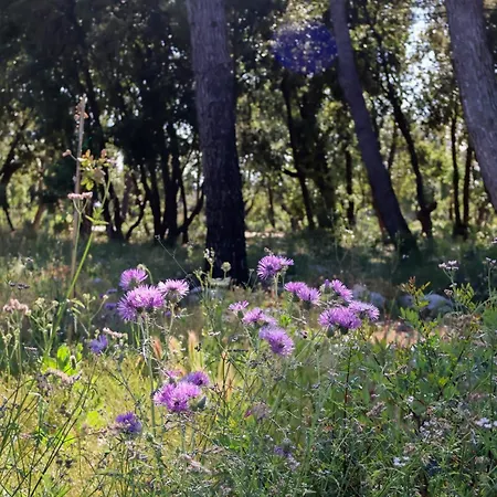 Quercia Private Nature Retreat